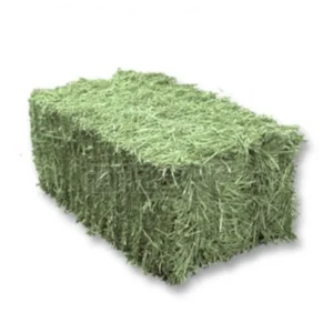 Feno em Fardo – 10,0 kg